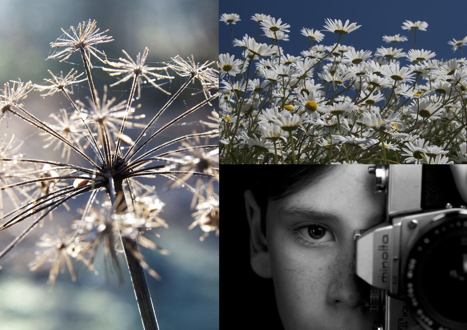 Get Snapping! New Year... New Hobby!