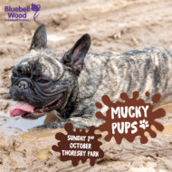 Mucky-Pups-Web-Banner-V2.jpg