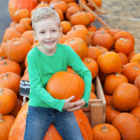 NORTH NOTTS HALF TERM & HALLOWEEN EVENTS GUIDE 2020